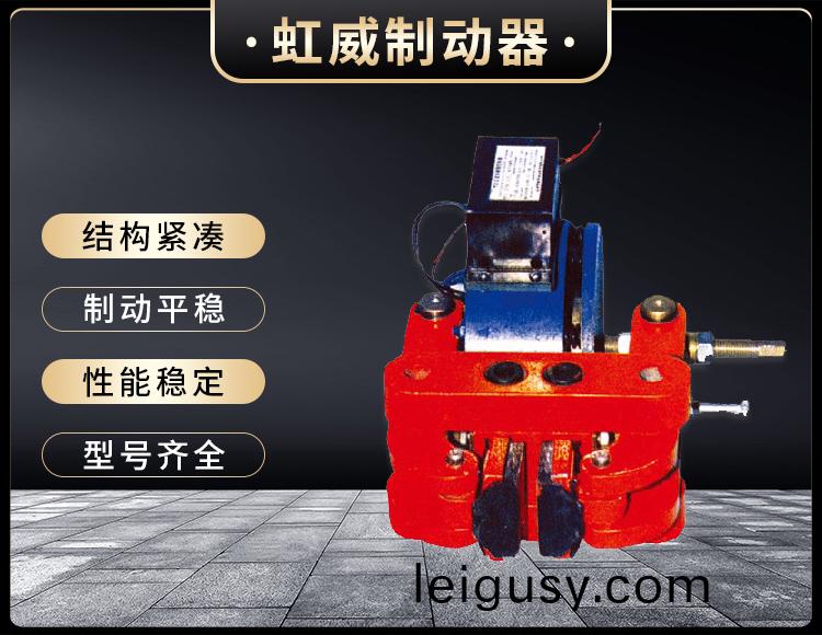 DCPZ係列電(dian)磁(ci)鉗盤式製(zhi)動器