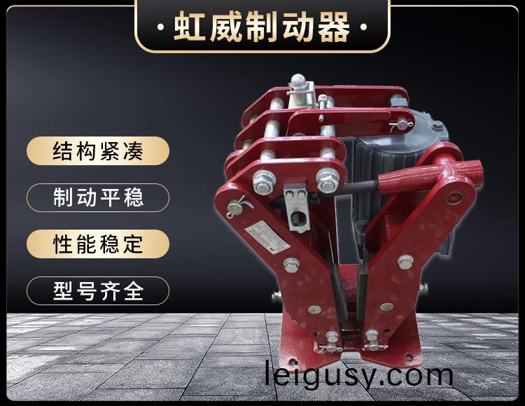 YPZ2-IV-V-VI型電(dian)力(li)液壓(ya)盤(pan)式製(zhi)動器